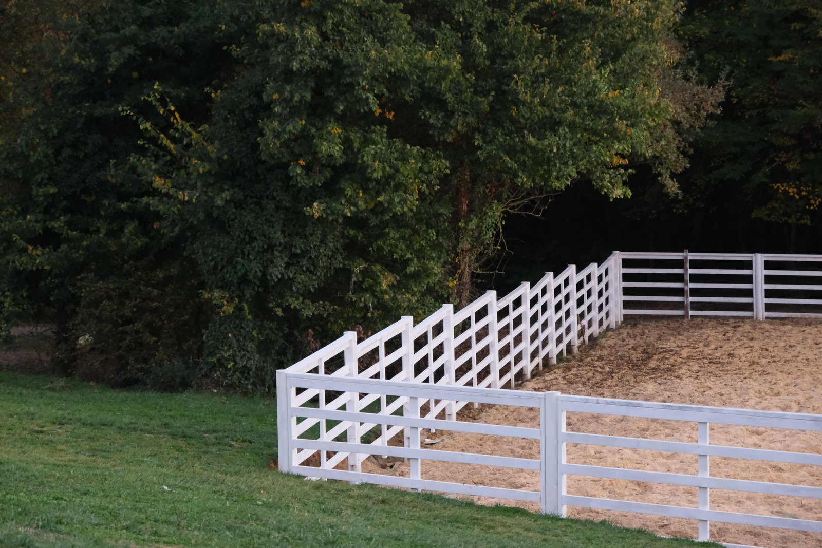 White rural horse and paddock fence